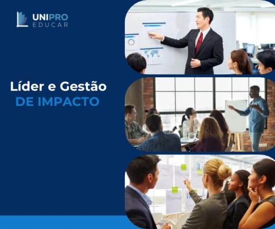 Líder e Gestor de Impacto